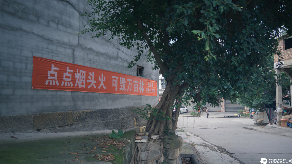 家乡小镇掠影...